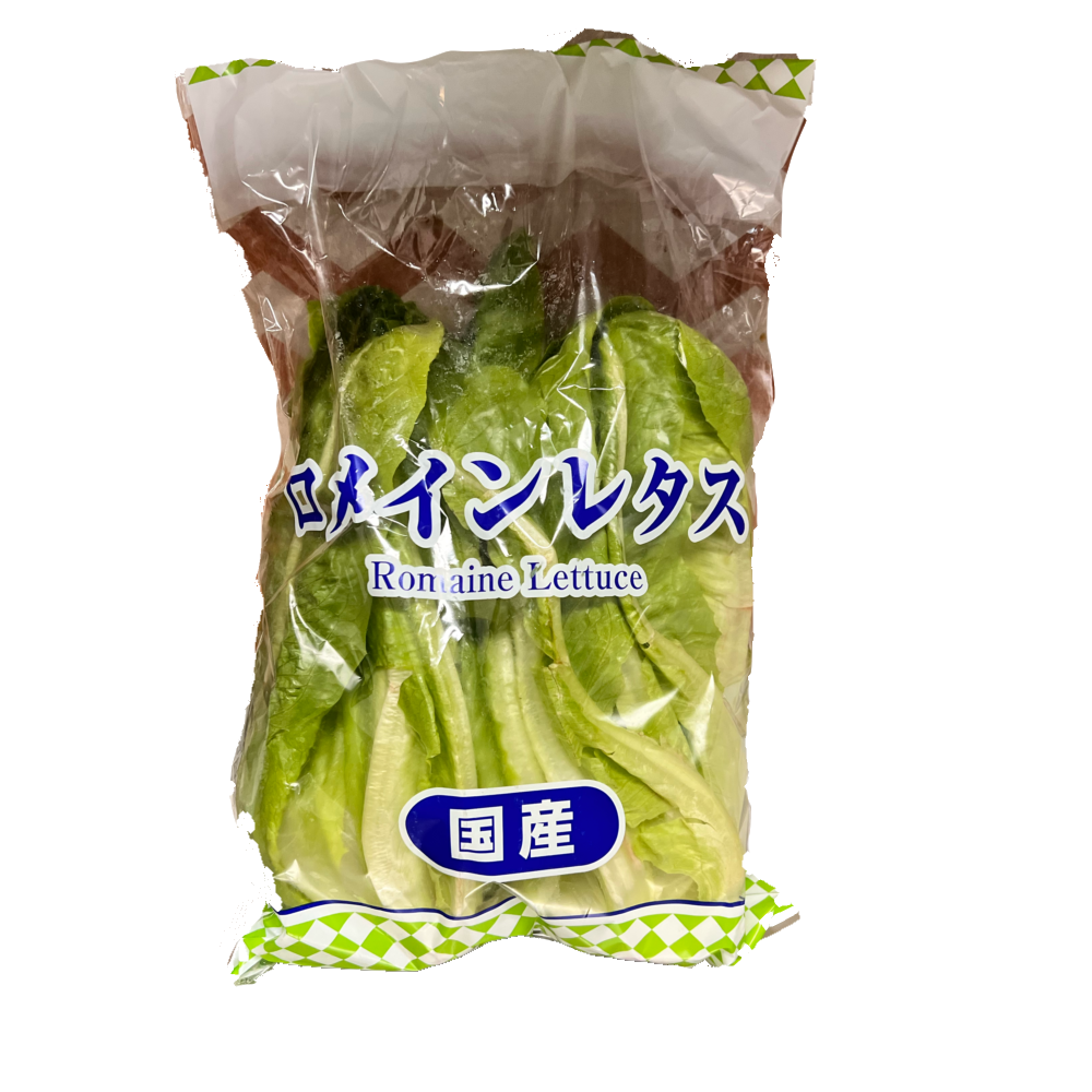 ロメインレタス