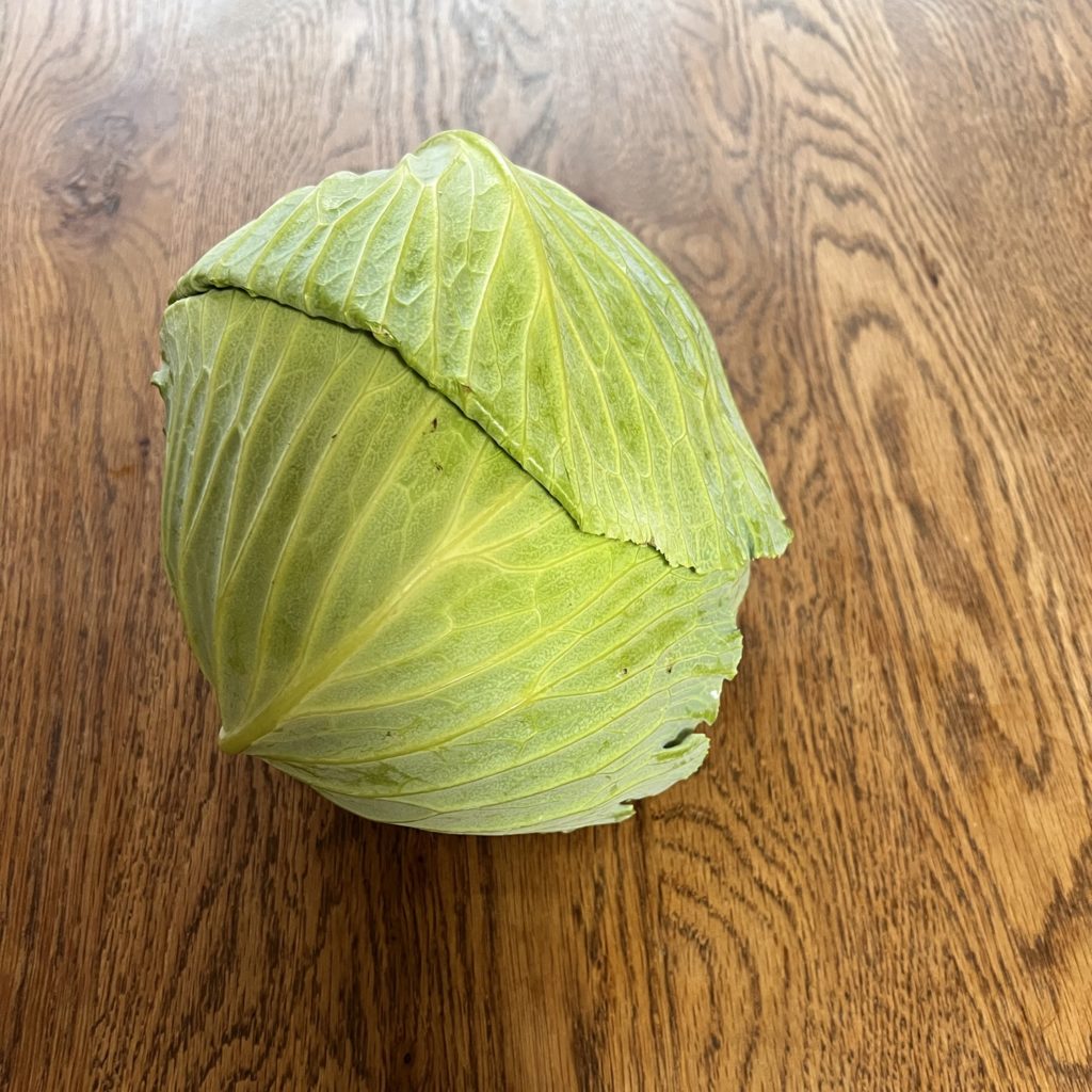 キャベツ